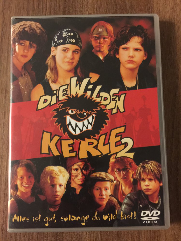 Die wilden Kerle 2