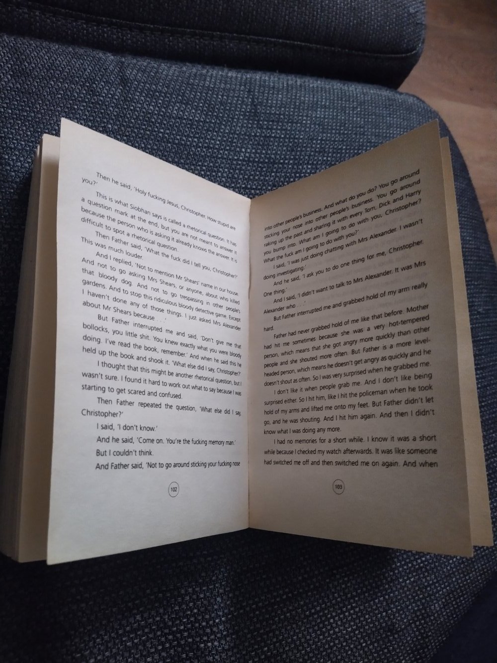 Buch The Curious Incident.. von Mark Haddon