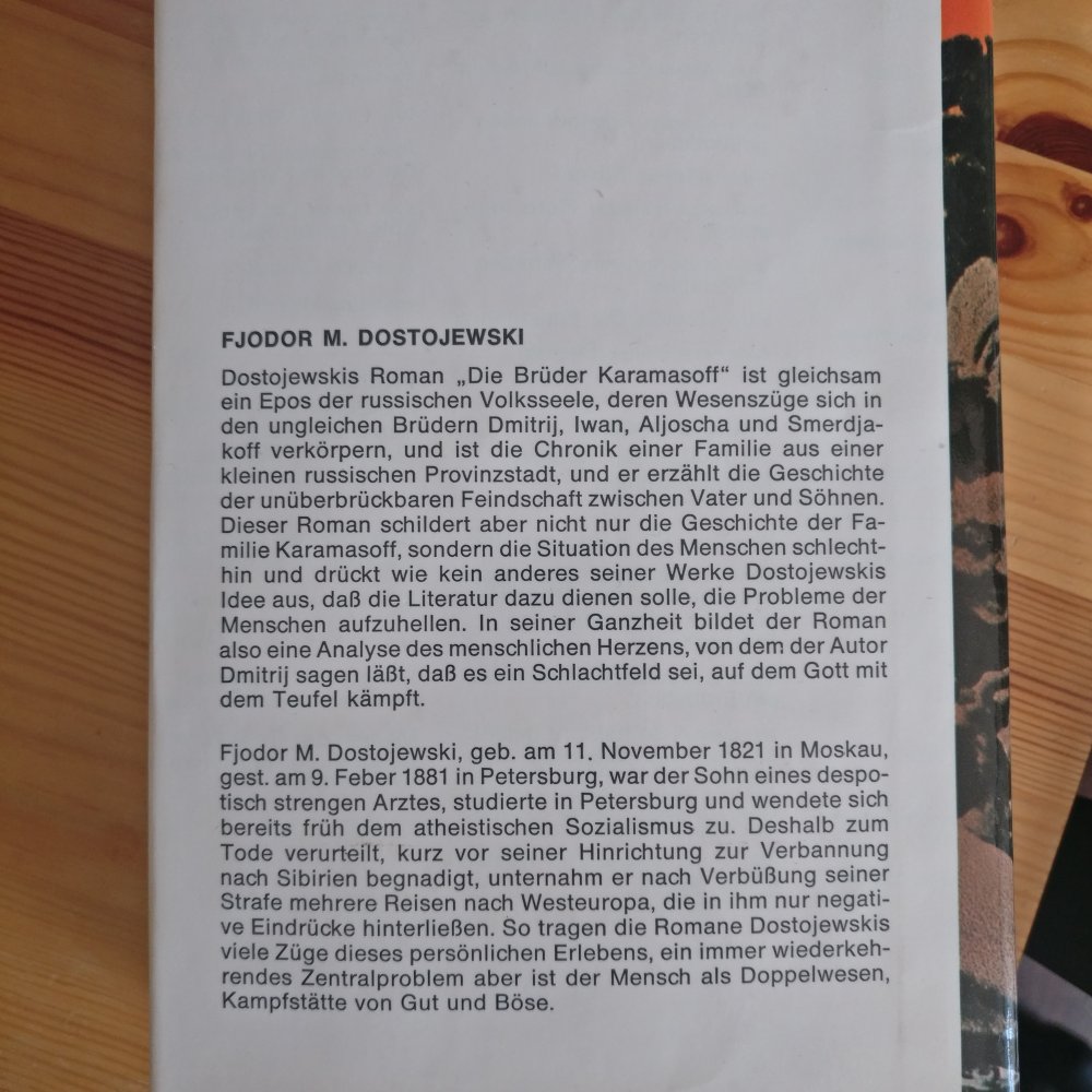 Buch: Die Brüder Karamasoff (Fedor M. Dostojewski)