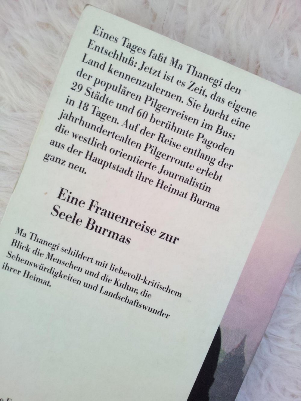 Ma Thanegi: Pilgerreise in Myanmar (Taschenbuch)