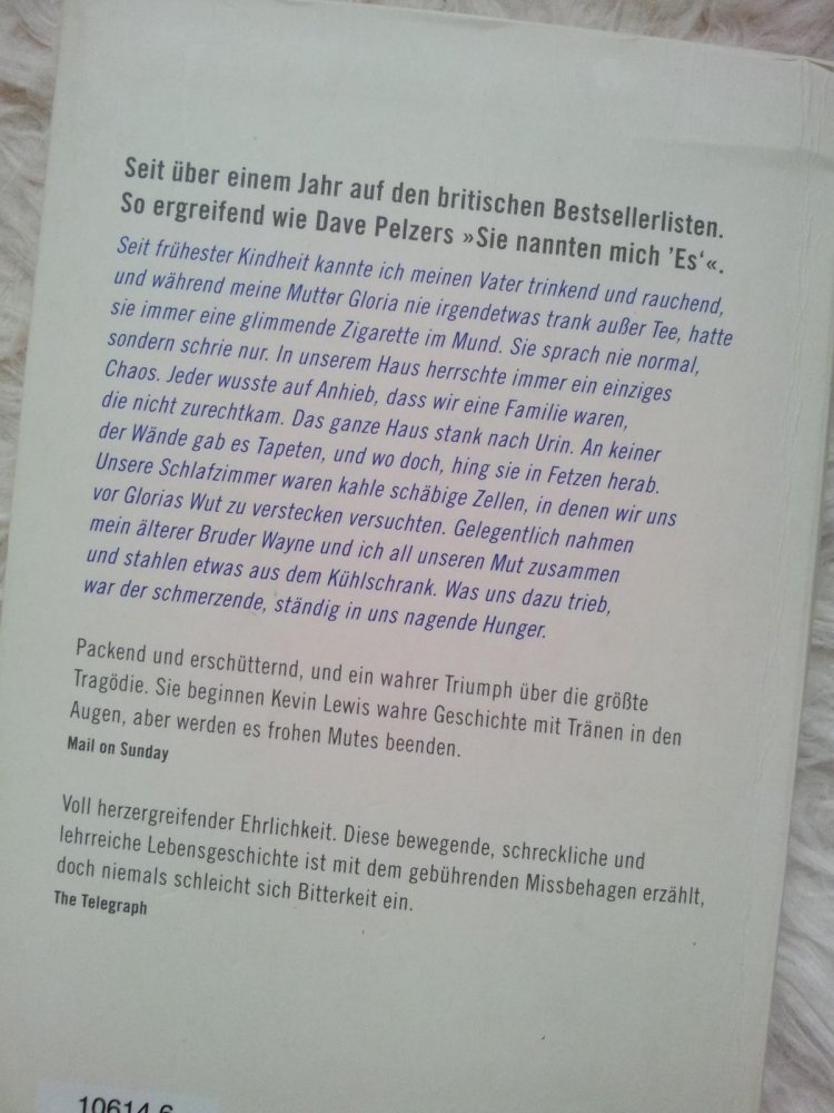 Kevin Lewis: Leben am Abgrund (Taschenbuch)