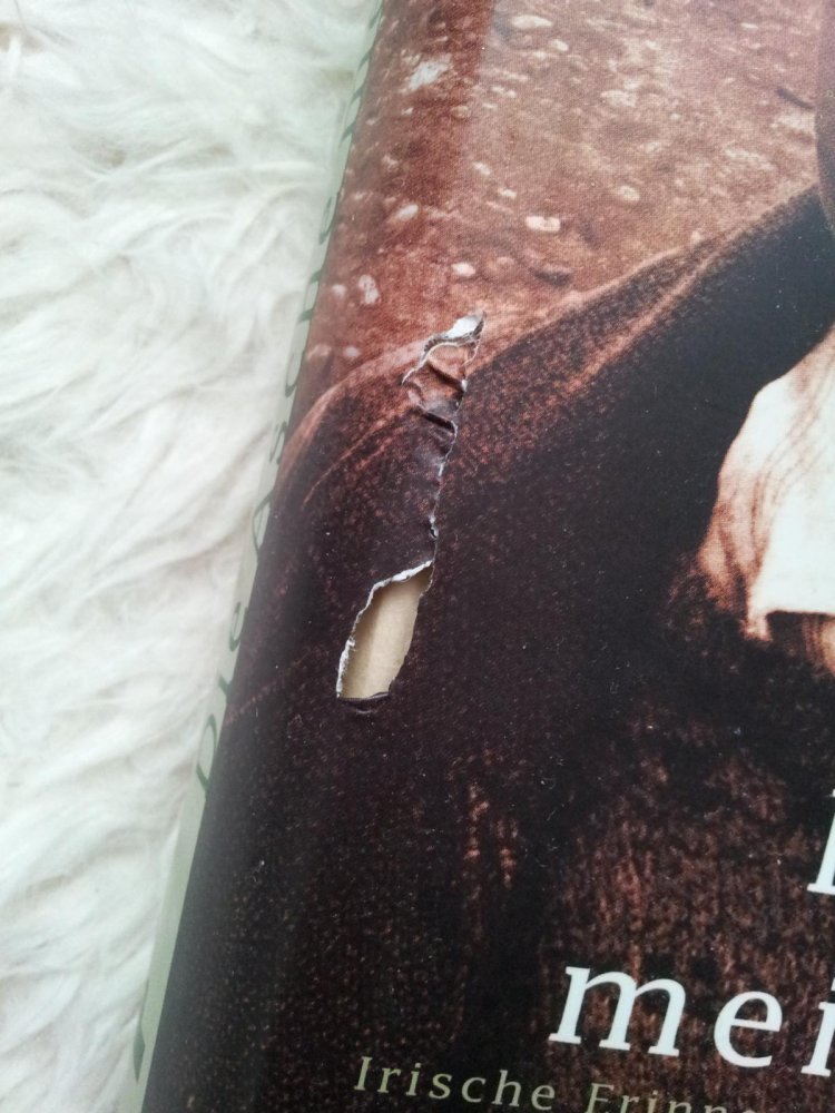 Frank McCourt: Die Asche meiner Mutter (gebunden)