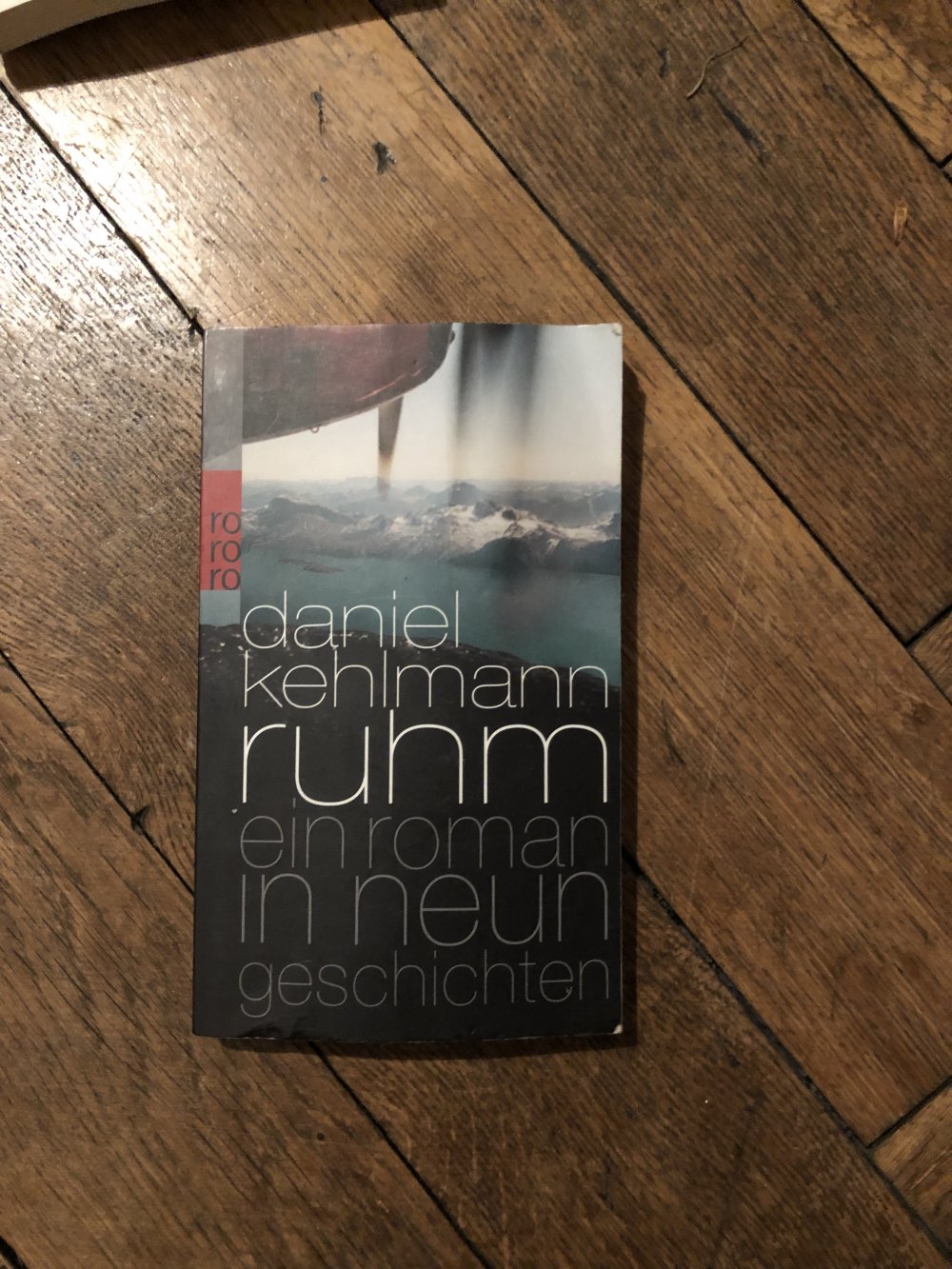 ruhm ein Roman in neun geschichten