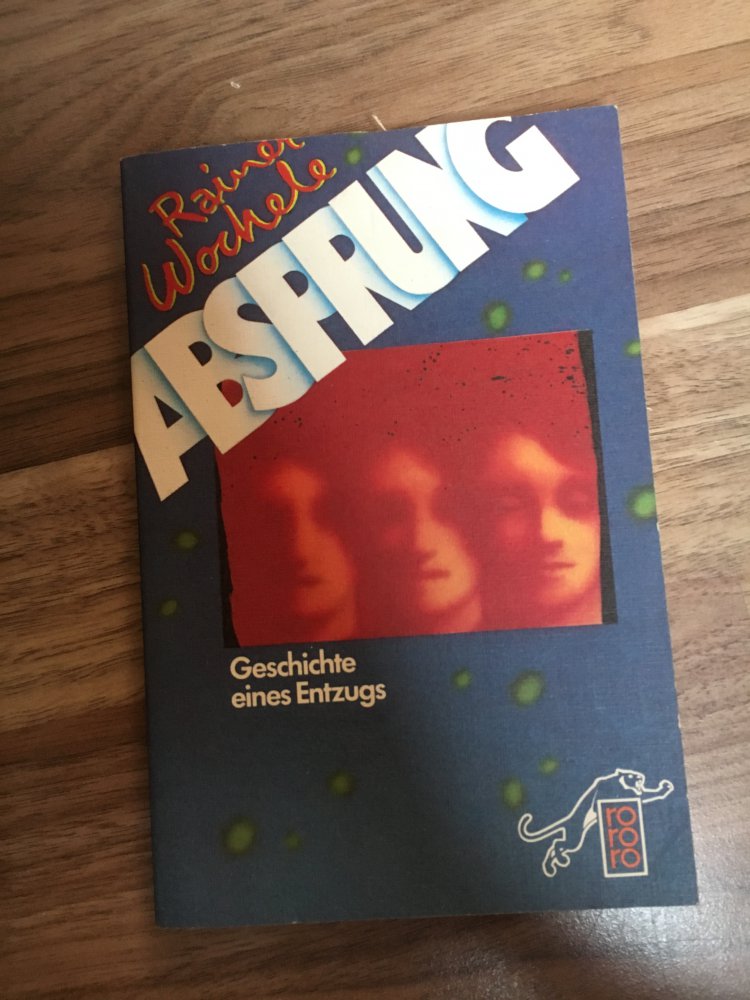 Absprung - Geschichte eines Entzugs