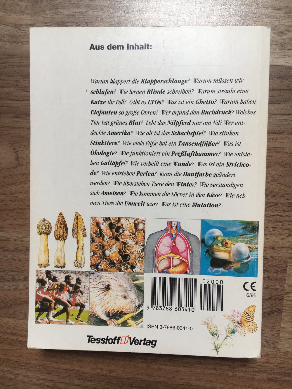 Das neue superschlaue Antwort Buch