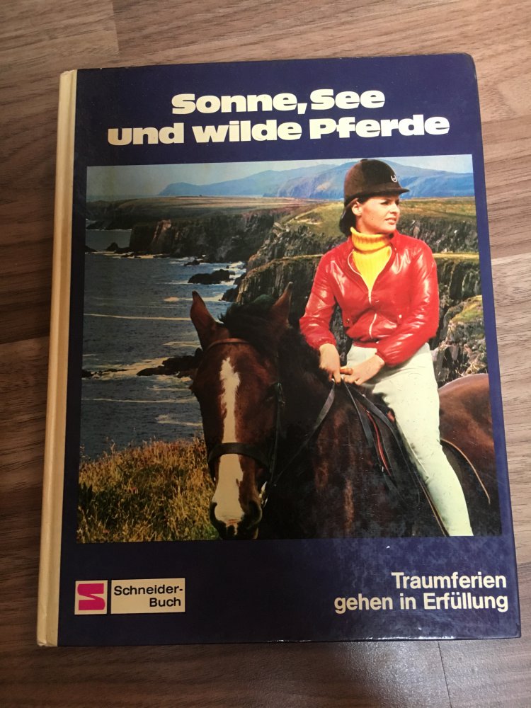 Sonne, See und wilde Pferde