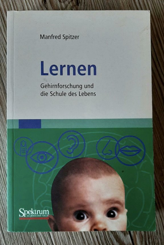 Lernen: Gehirnforschung und die Schule des Lebens