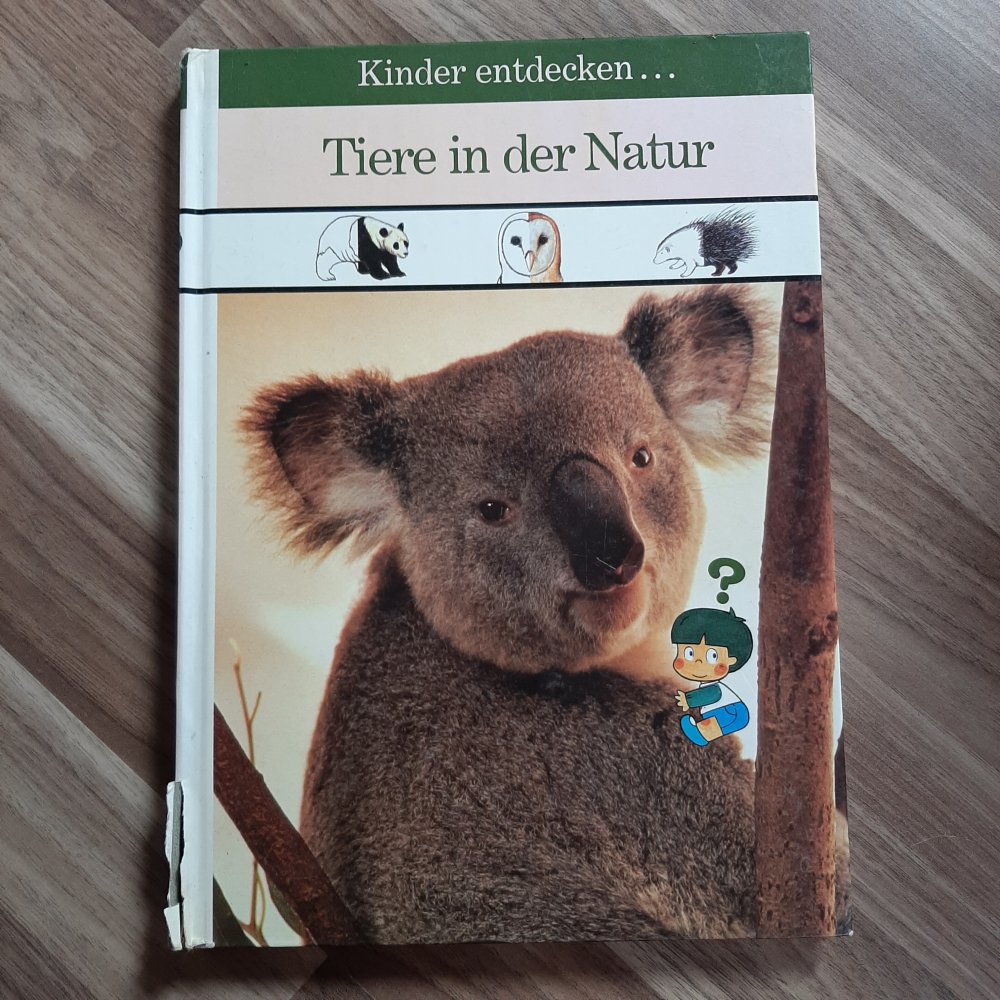 Kinder entdecken... Tiere in der Natur 