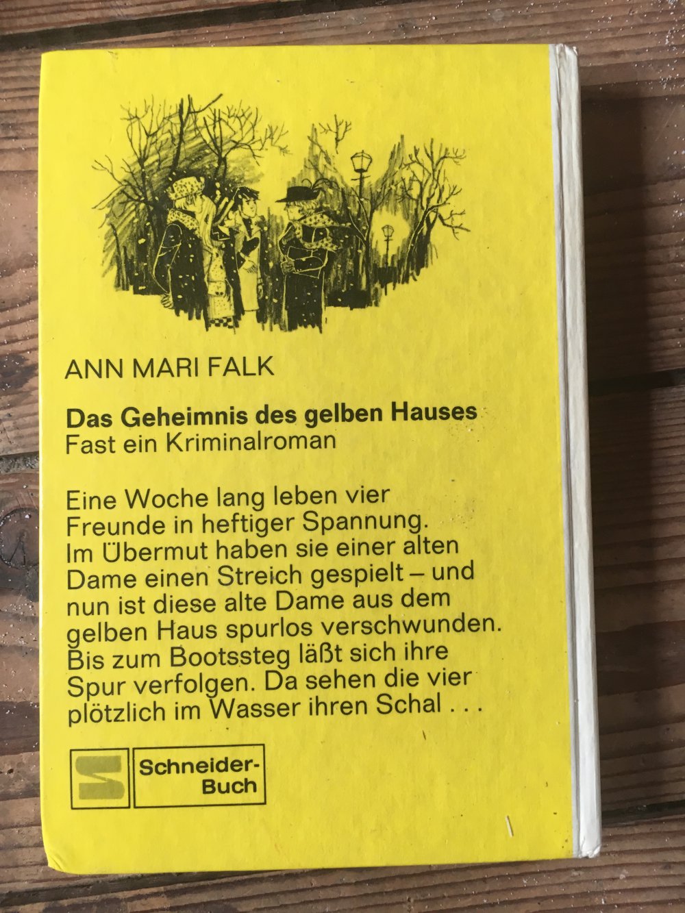 Das Geheimnis des gelben Hauses