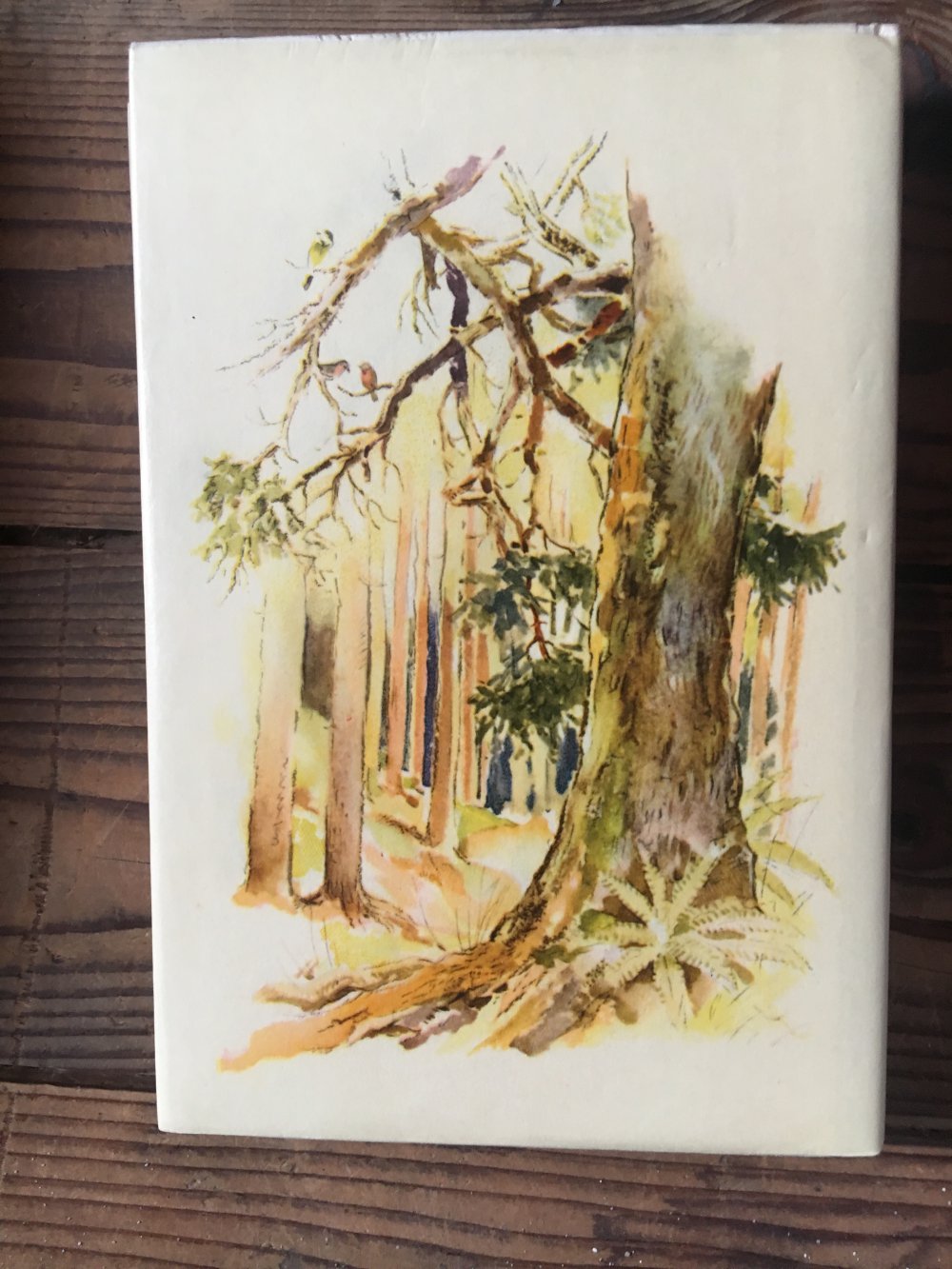 Pucki und ihre Freunde 