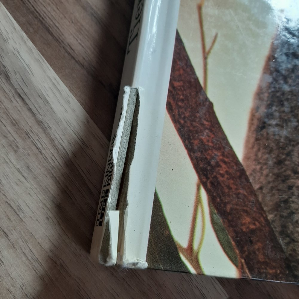 Kinder entdecken... Tiere in der Natur 