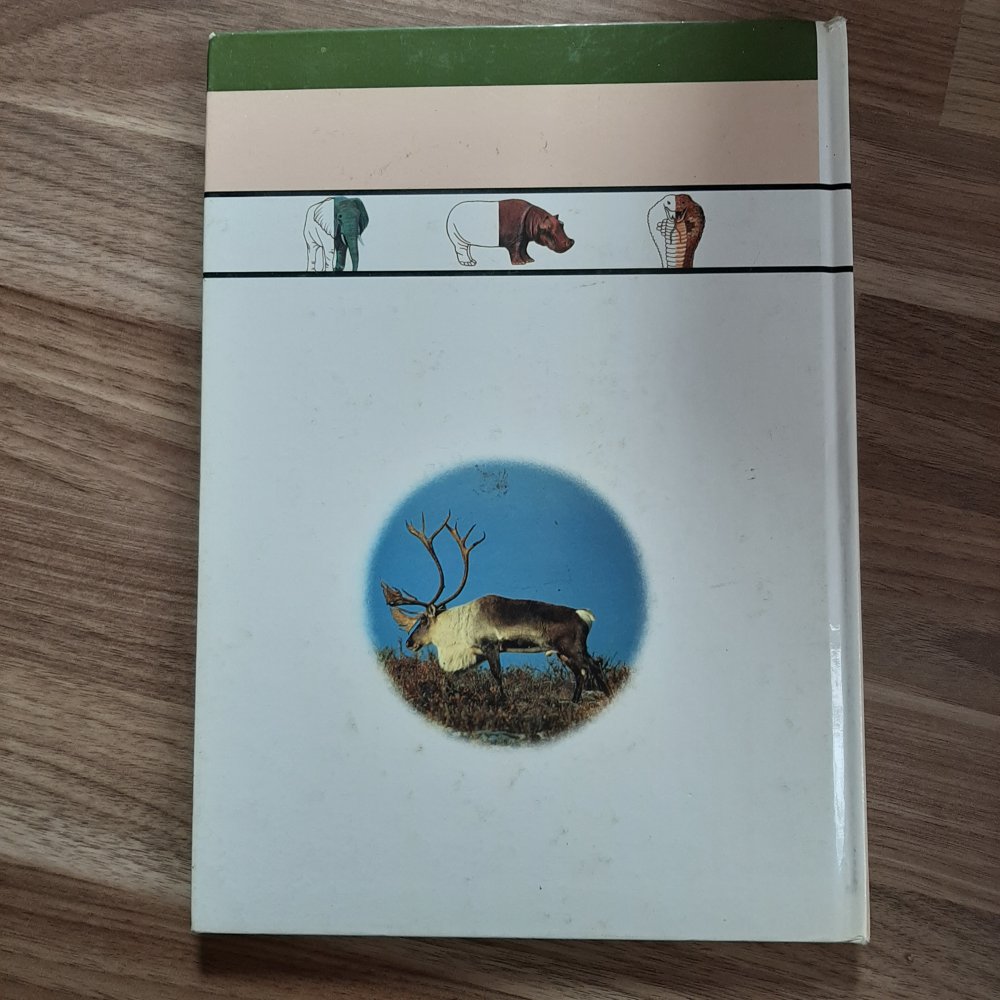 Kinder entdecken... Tiere in der Natur 