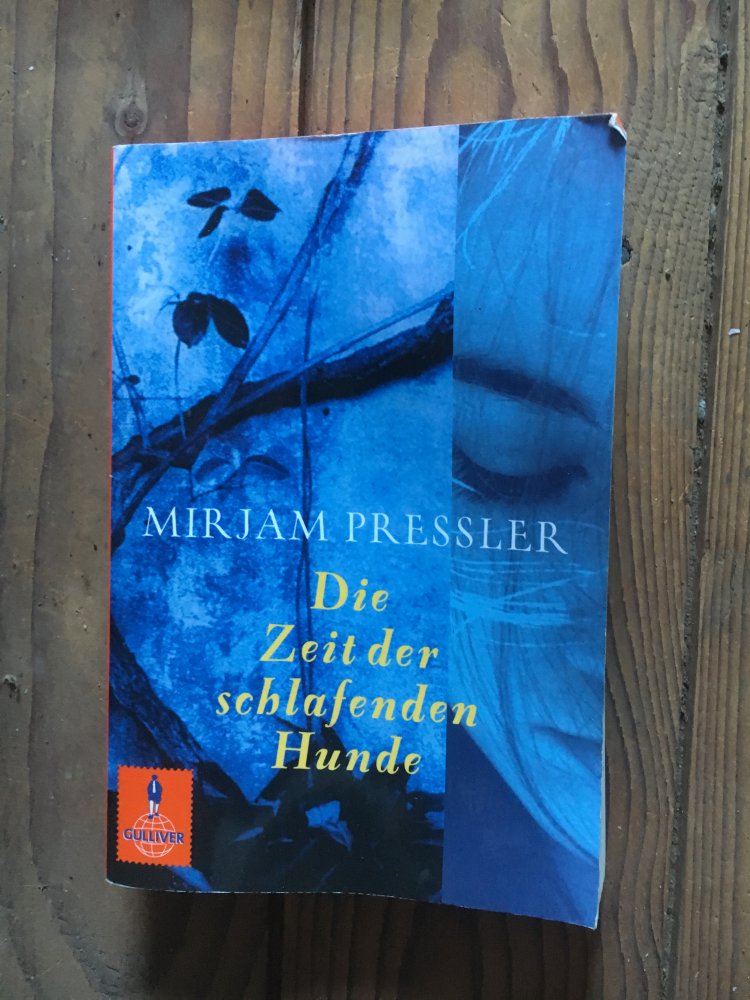 Die Zeit der schlafenden Hunde