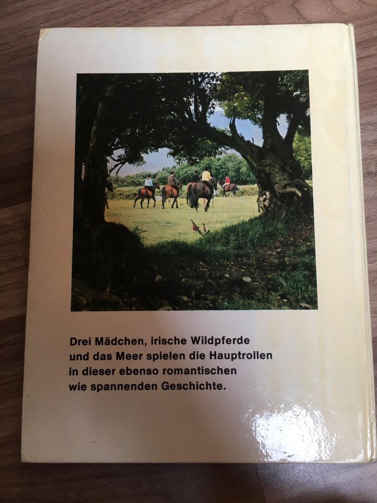 Sonne, See und wilde Pferde