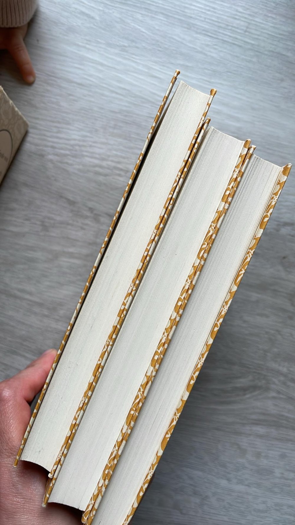 Das Schönte von Anne Morrow Lindbergh - 3 Bände im Schuber 