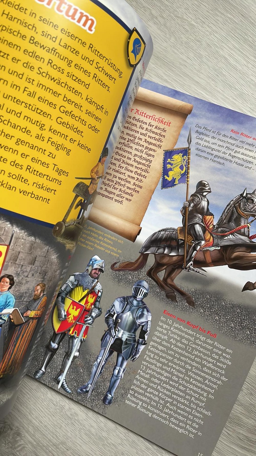 Burgen - Festung und Lebensraum 