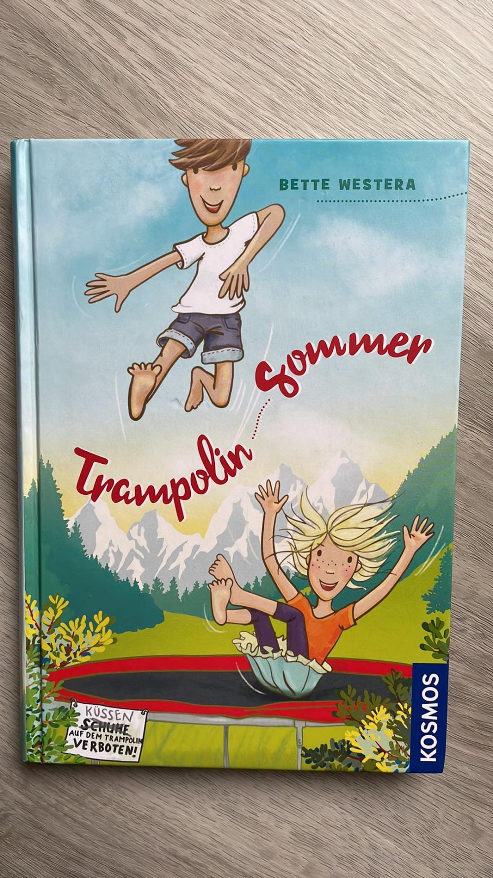 Trampolin Sommer 