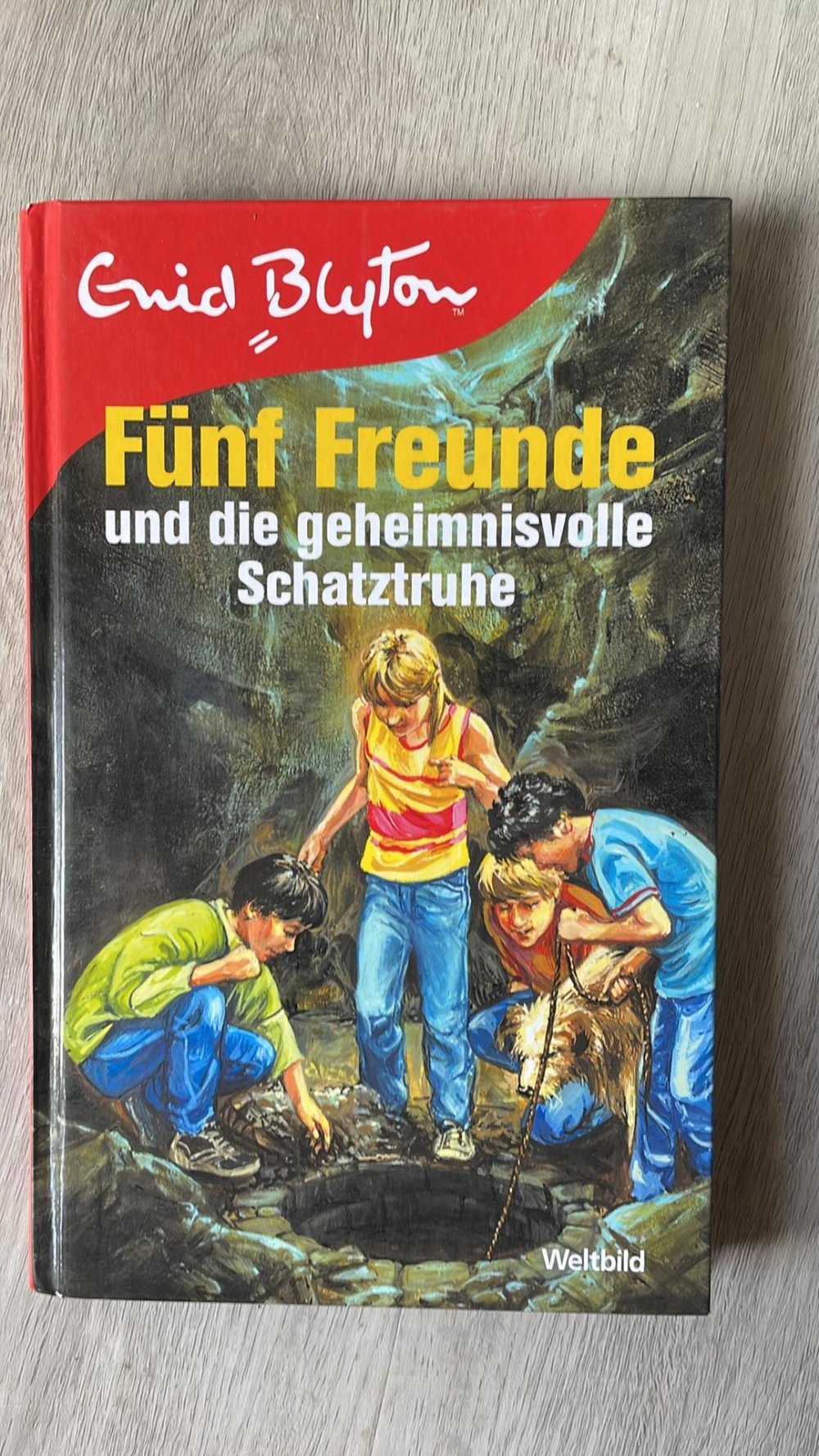 Fünf Freunde und die geheimnisvolle Schatztruhe 
