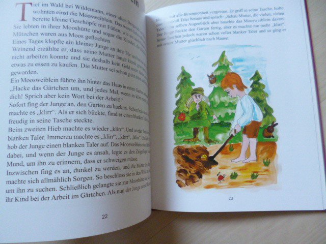 Faya & Welo beim Zwergenkönig Hübich: Sagen und Märchen aus dem Harz für Kinder neu erzählt