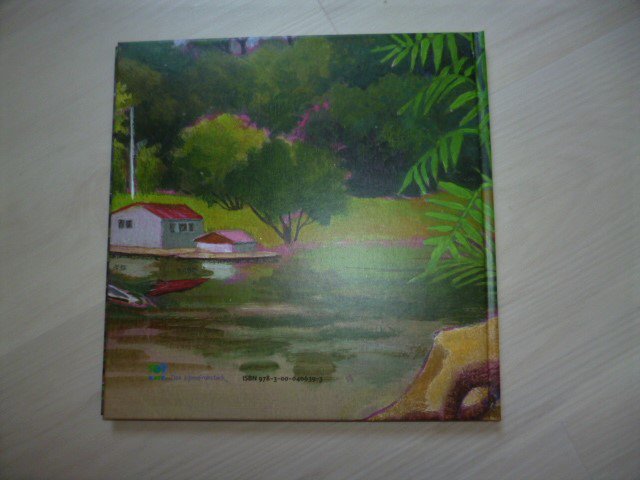 Leos Klimazonenreise von Ilka Ruhl und Arun Hackenberger Buch 