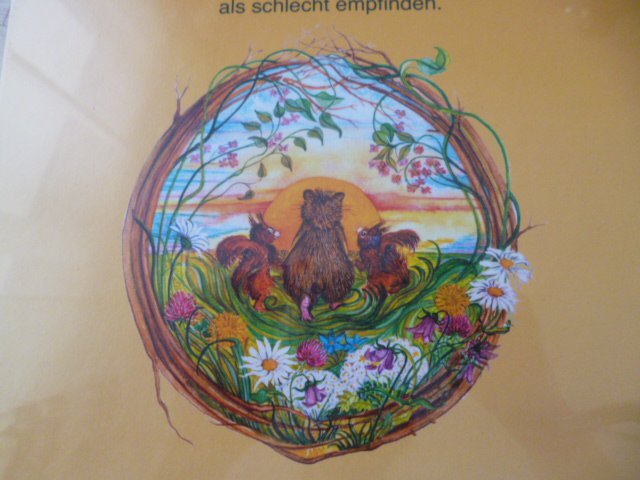 Nando und das Glück im Unglück Bettina Cramm Buch Kinderbuch NEU!