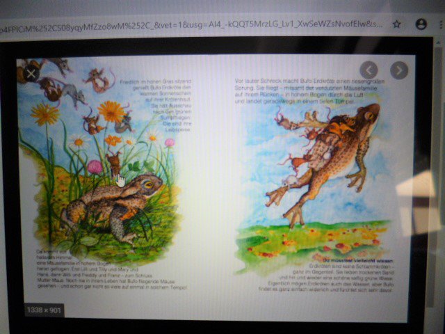 Nando und das Glück im Unglück Bettina Cramm Buch Kinderbuch NEU!