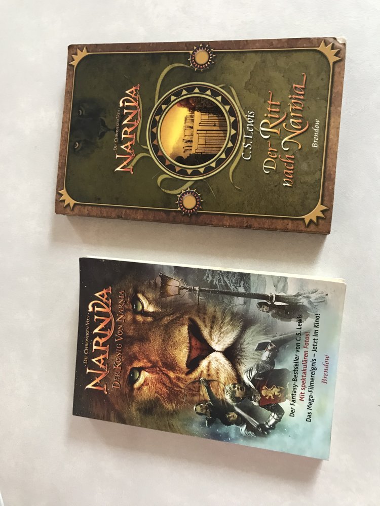 Chroniken von Narnia, Der Ritt nach Narnia, Fantasie Kinderbuch verfilmter Bestseller