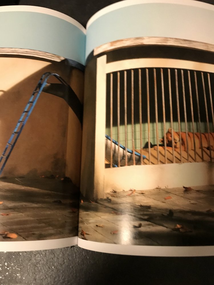 Topsy Turvy World Verkehrte Welt Crafic Design Phantasie Modellbau Architektur Sinnbild Täuschung Stilleben Umwelt Haus Bauwesen Sinnestäuschung Surrealität Kunst  