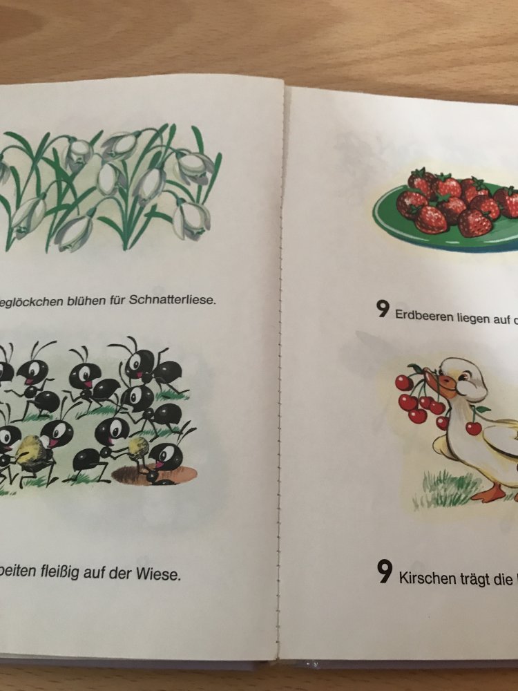Bussi Bär Rolf Kauka Bilderbuch Zahlen lernen Reine für Kleine Vorschule spielerisch lernen 