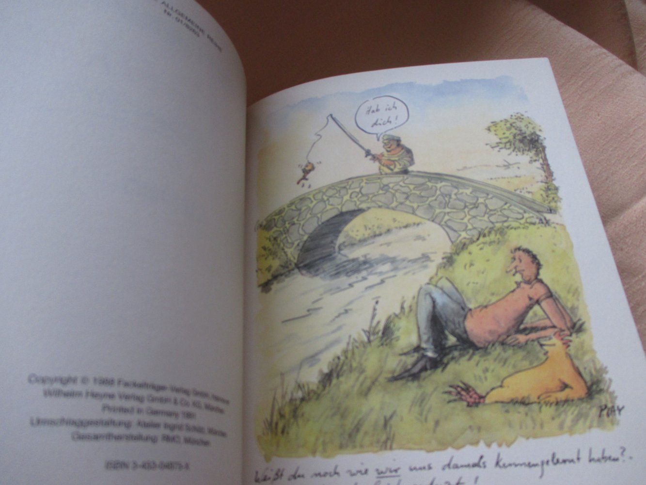 Gemischte Gefühle * Eine Liebesgeschichte * Cartoons * Peter Gaymann * Heyne Verlag