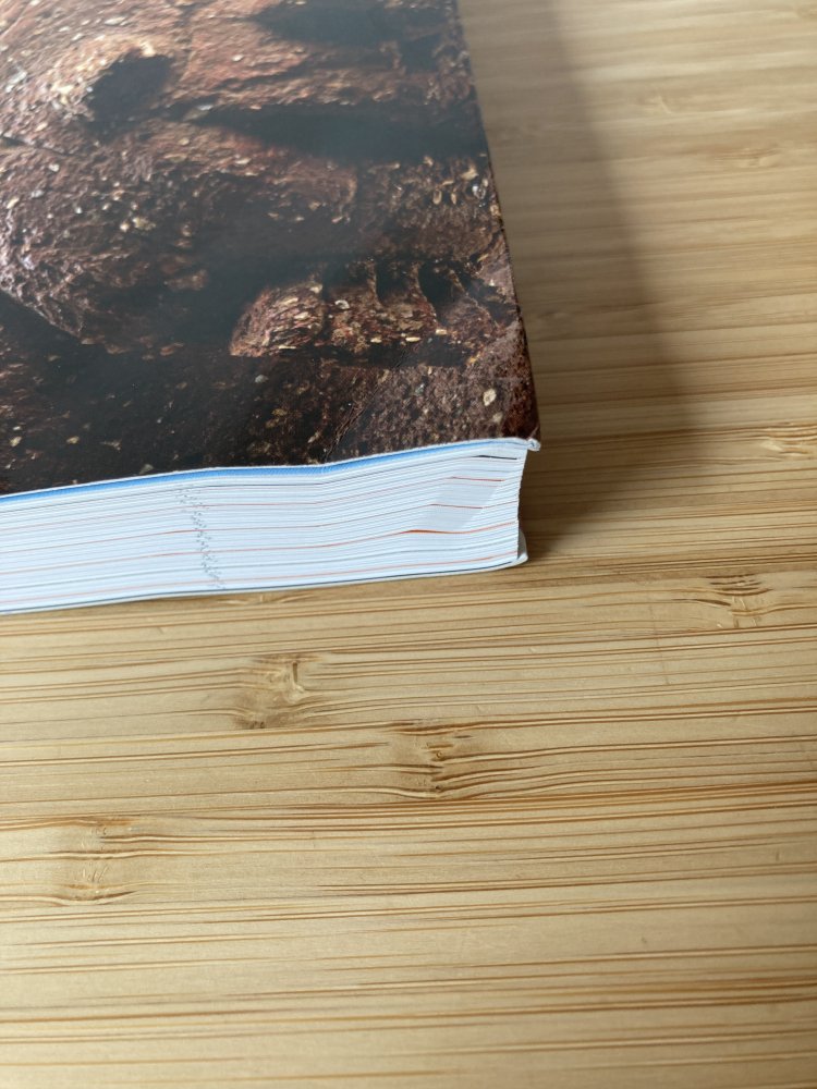 Nok - African Sculpture in archaeological context