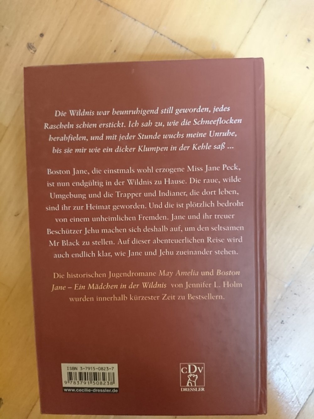 Boston Jane und der unheimliche Fremde 