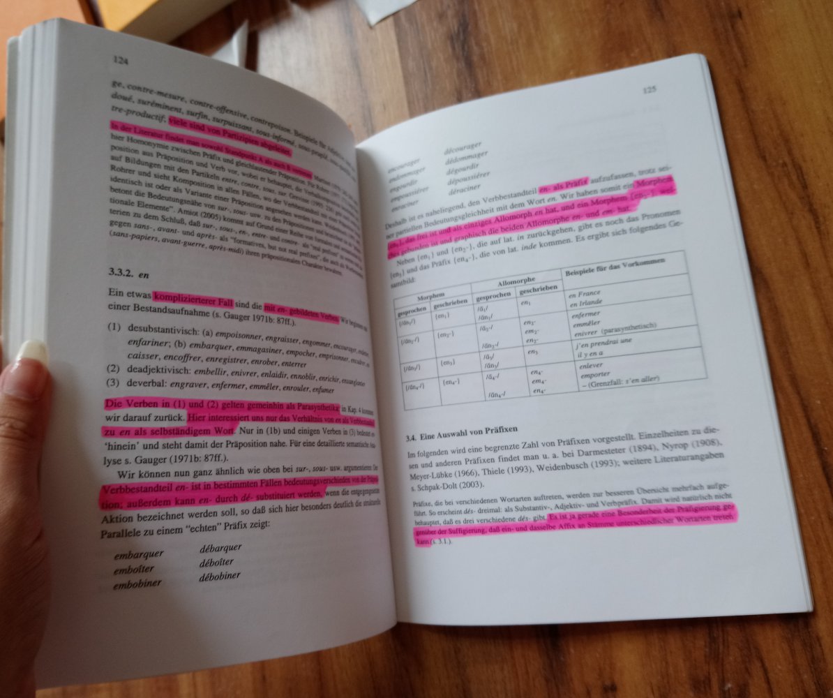 Einführung in die französische Morphologie 