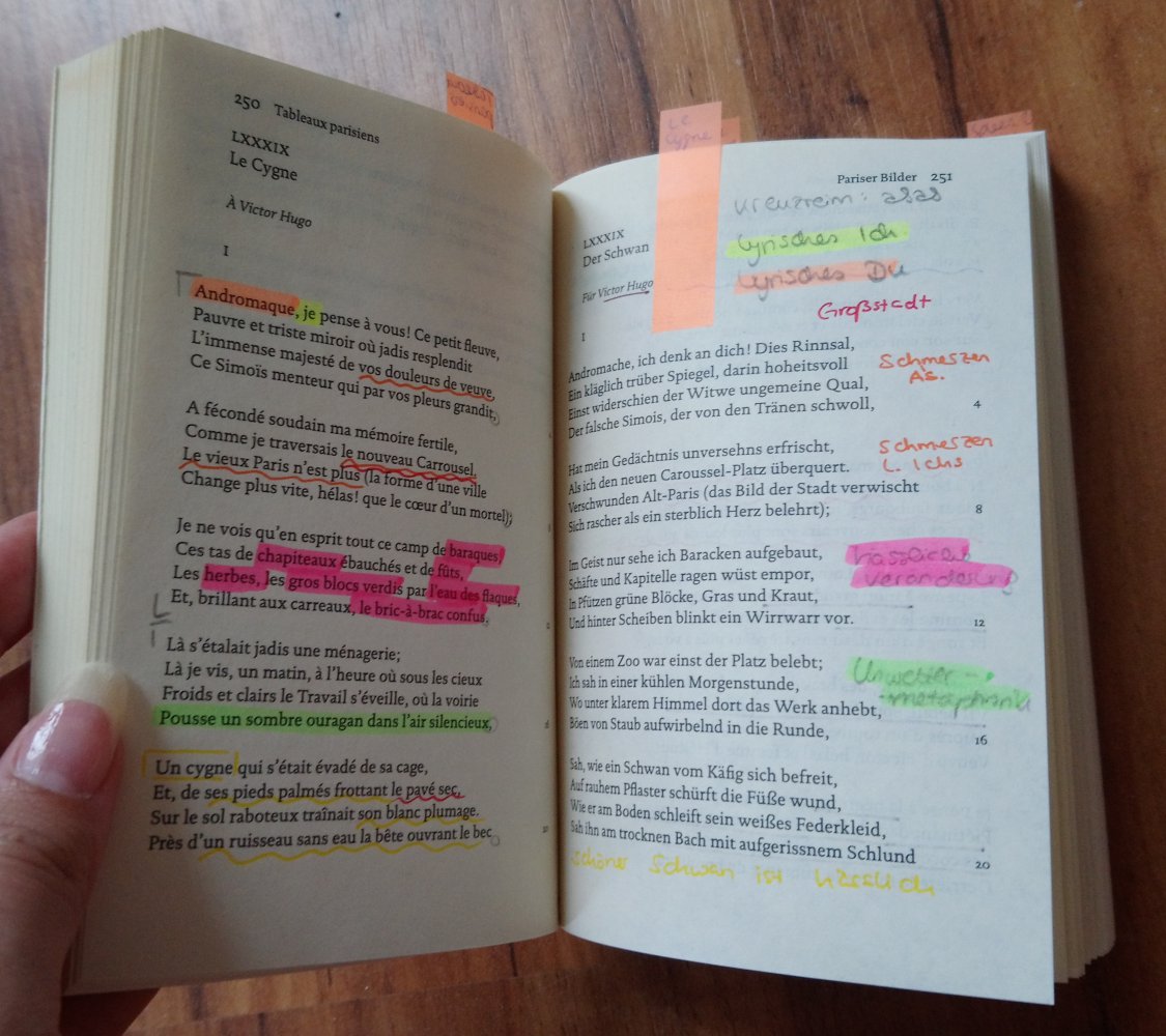 Les Fleurs du Mal/Die Blumen des Bösen 