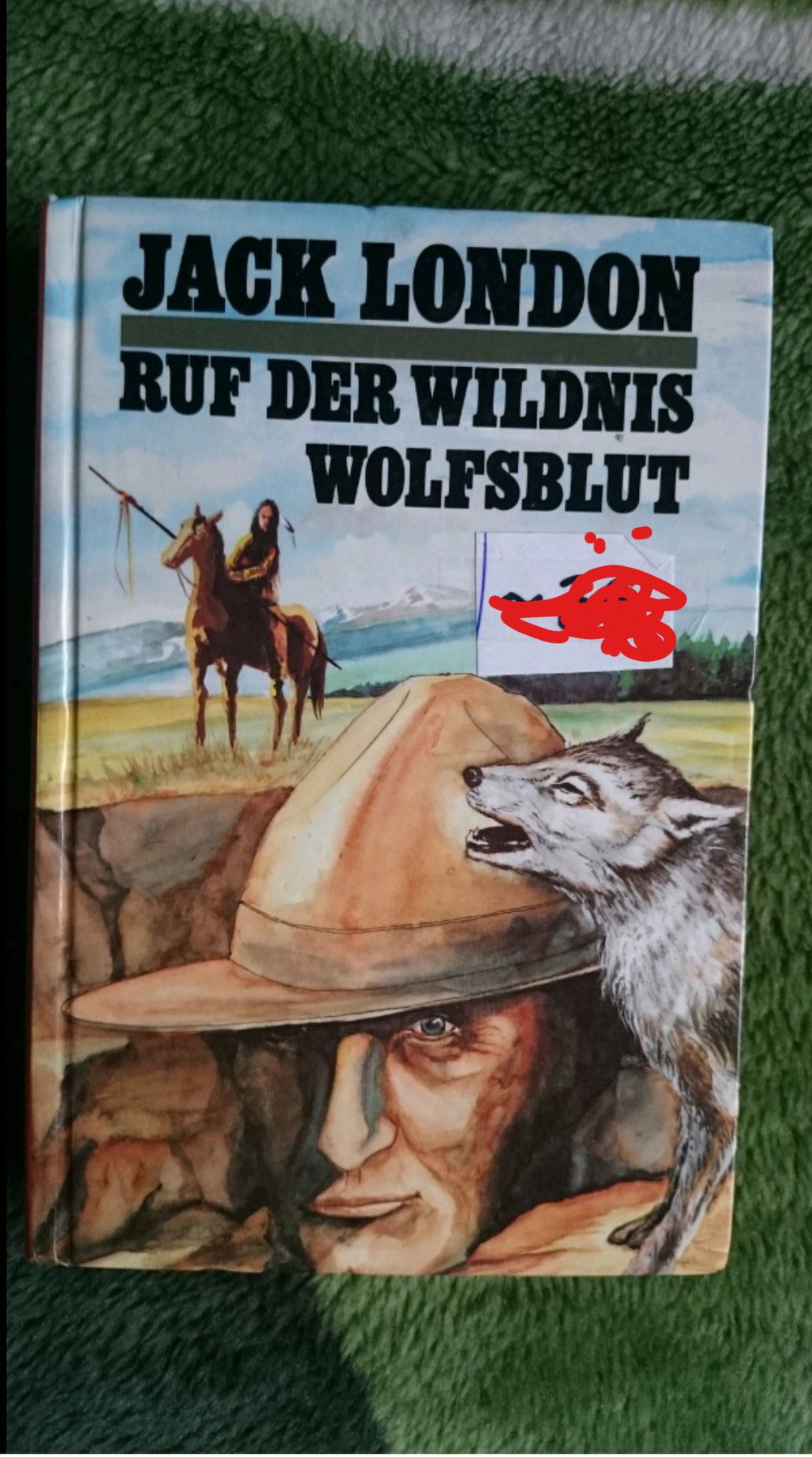 Ruf der Wildnis/ Wolfsblut 