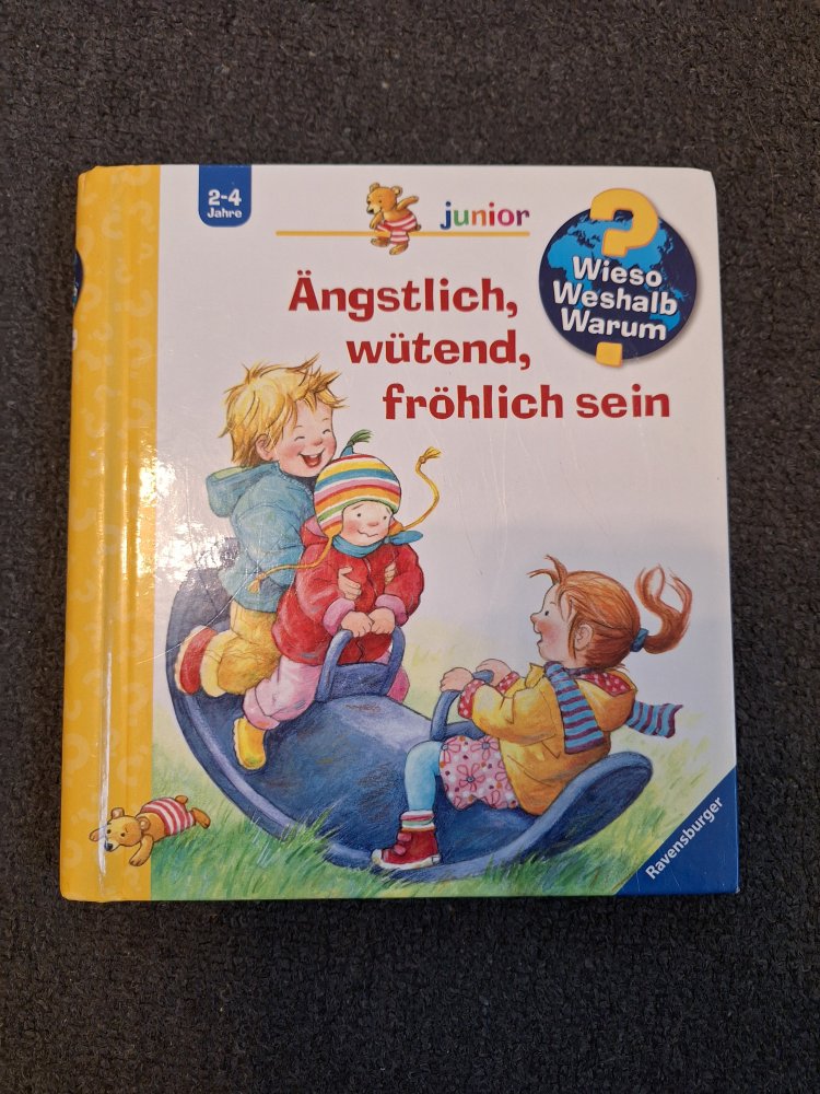 Klappenbuch Wieso weshalb warum 2-4 