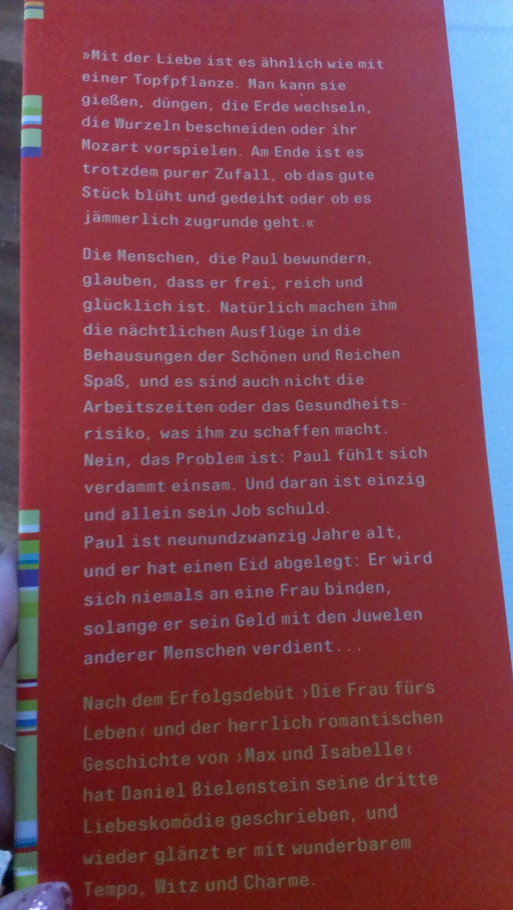 Ein Mann zum Stehlen von Daniel Bielenstein