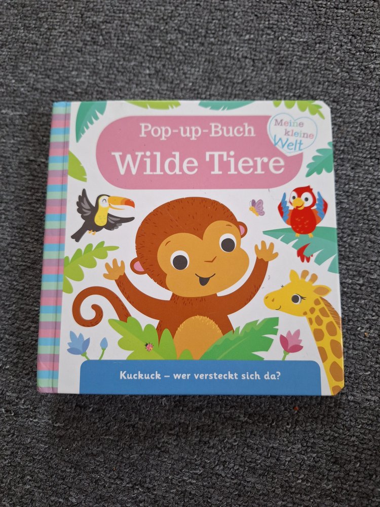 Pop-Up-Buch Wilde Tiere