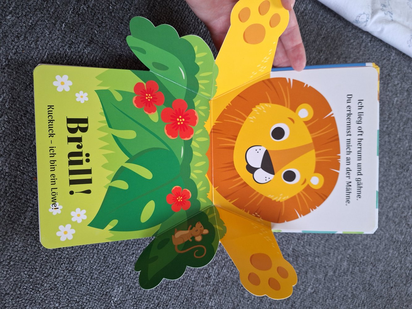 Pop-Up-Buch Wilde Tiere