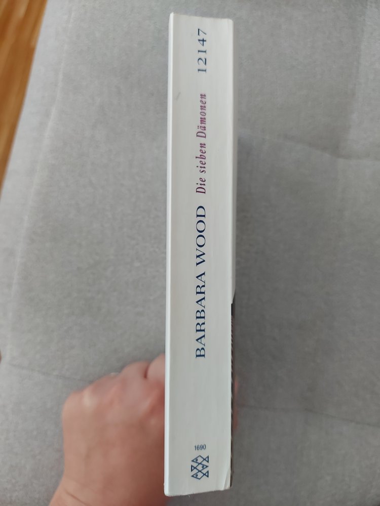 Roman Die sieben Dämonen von Barbara Wood