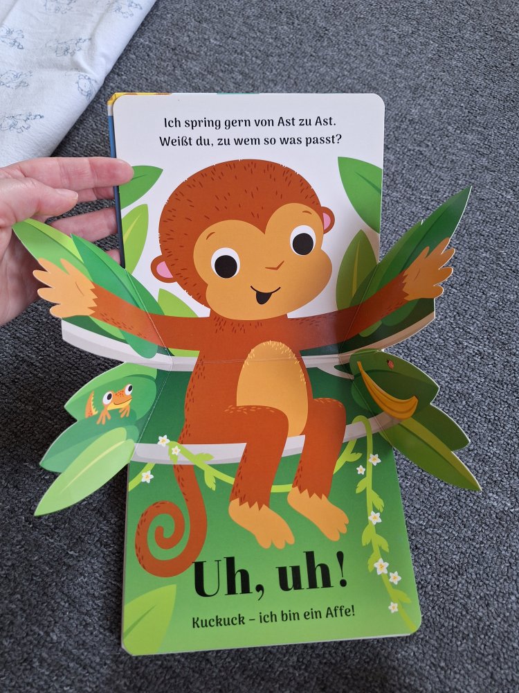 Pop-Up-Buch Wilde Tiere