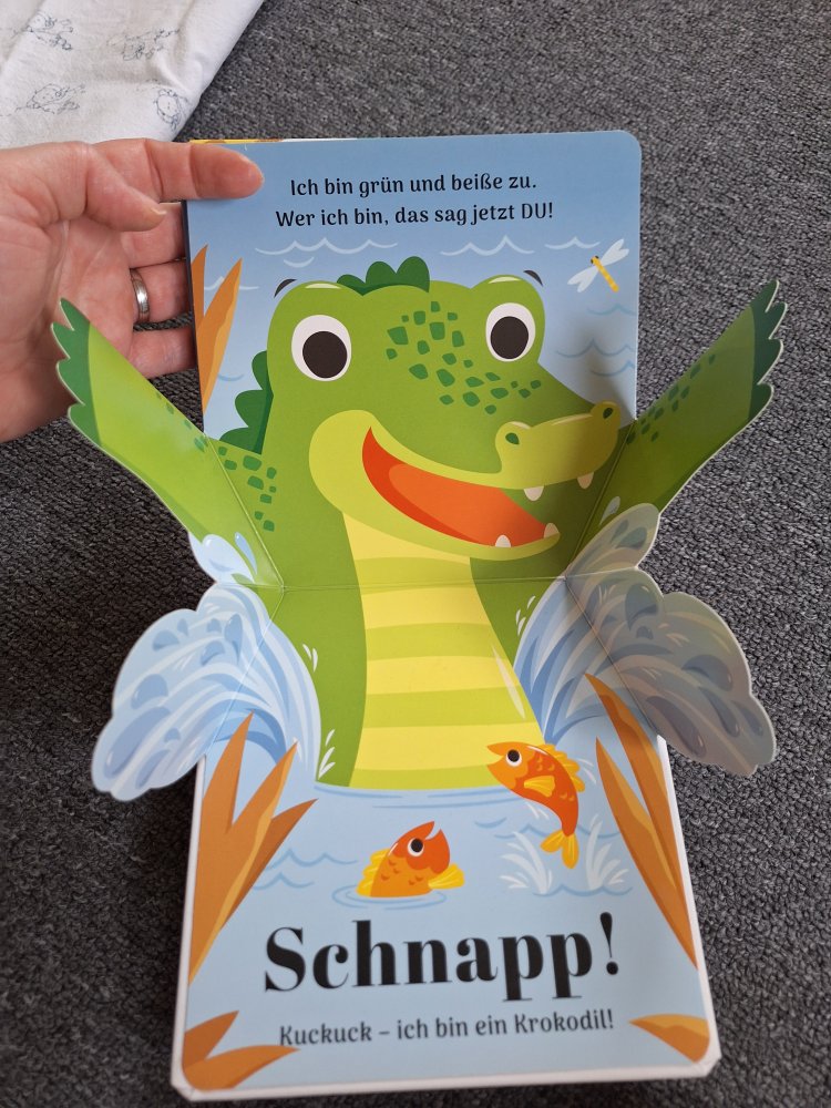 Pop-Up-Buch Wilde Tiere