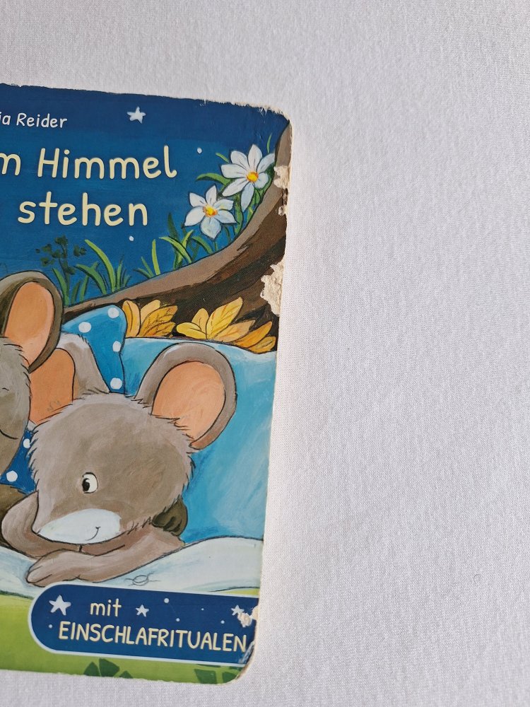 Kinderbuch 