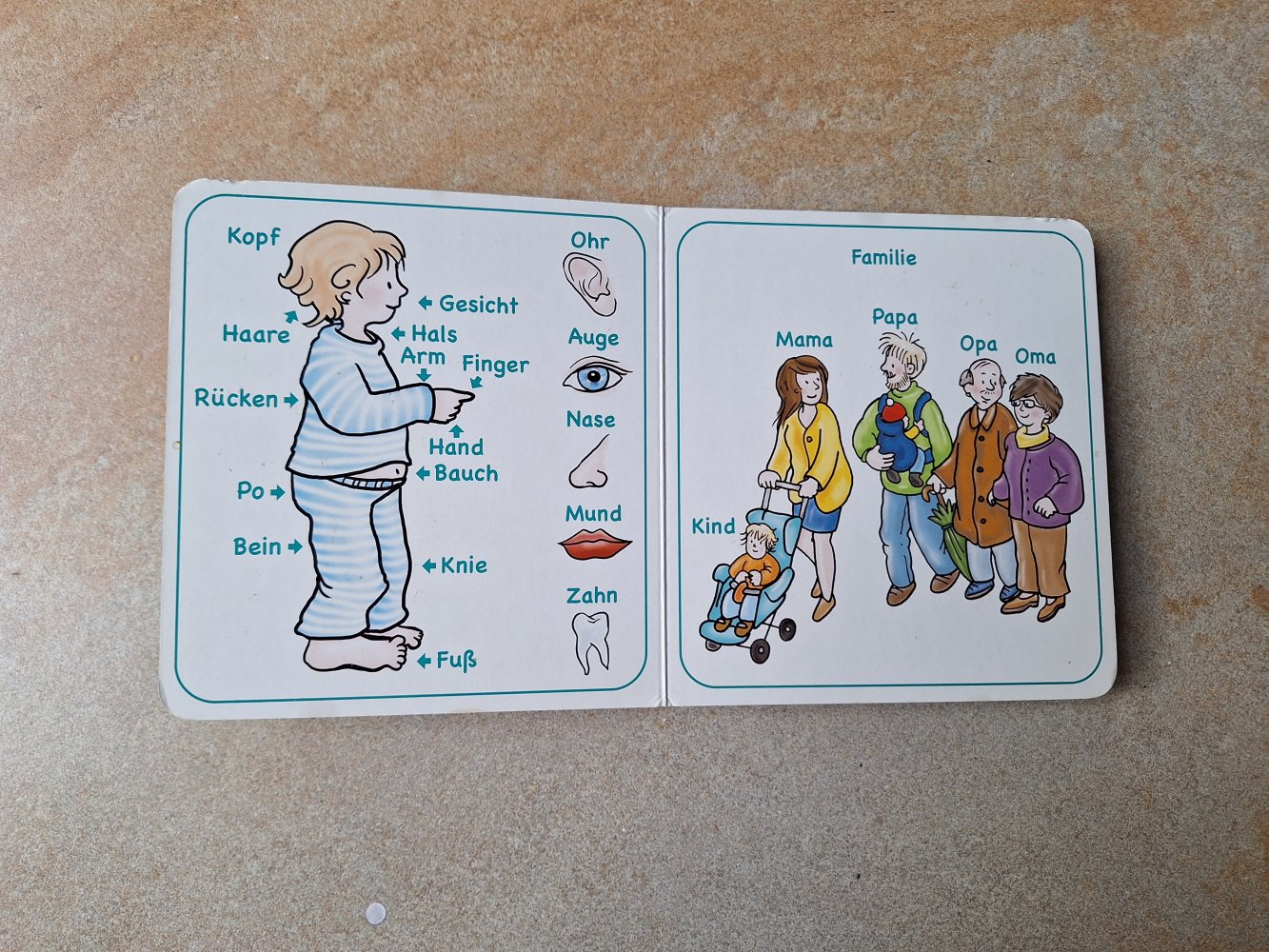 Wie heißt denn das? Erste Wörter-Buch