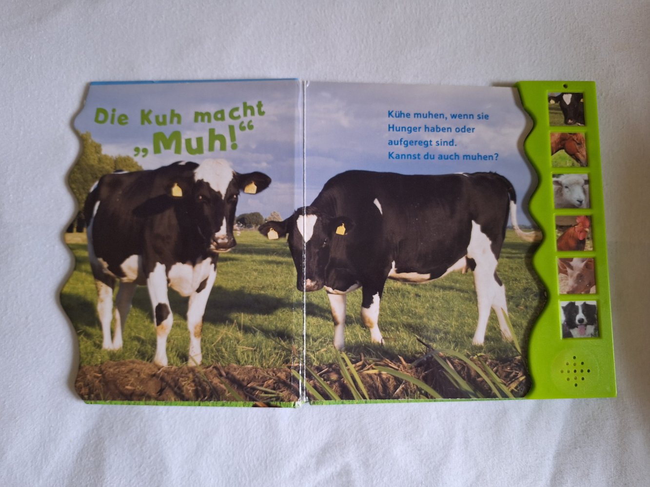 Kinderbuch Hör mal die Tiere! Auf dem Bauernhof