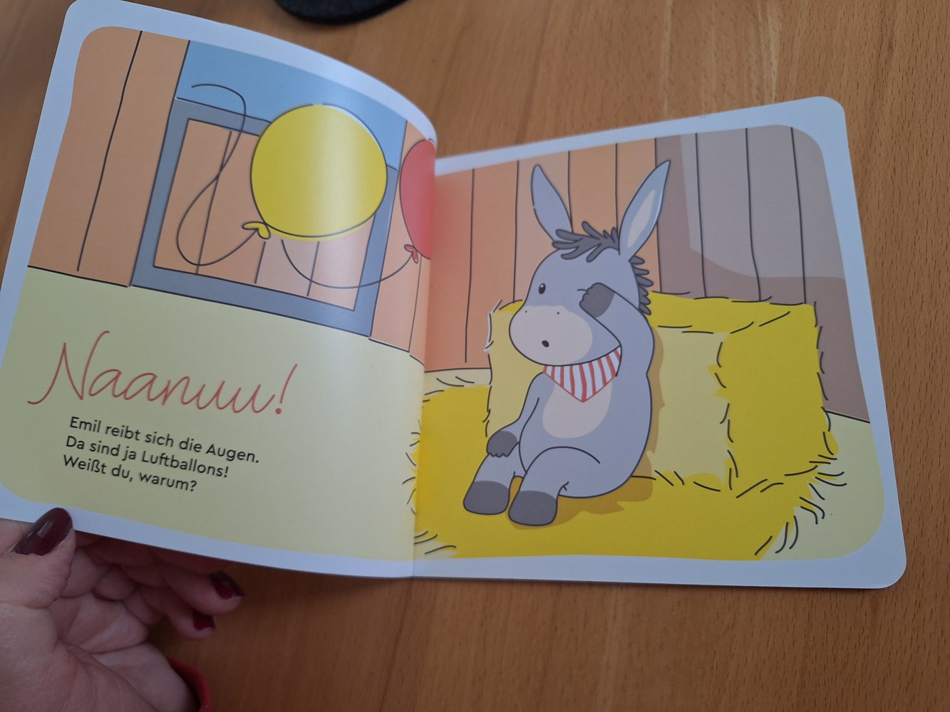 Geburtstagsheft Emil hat Geburtstag