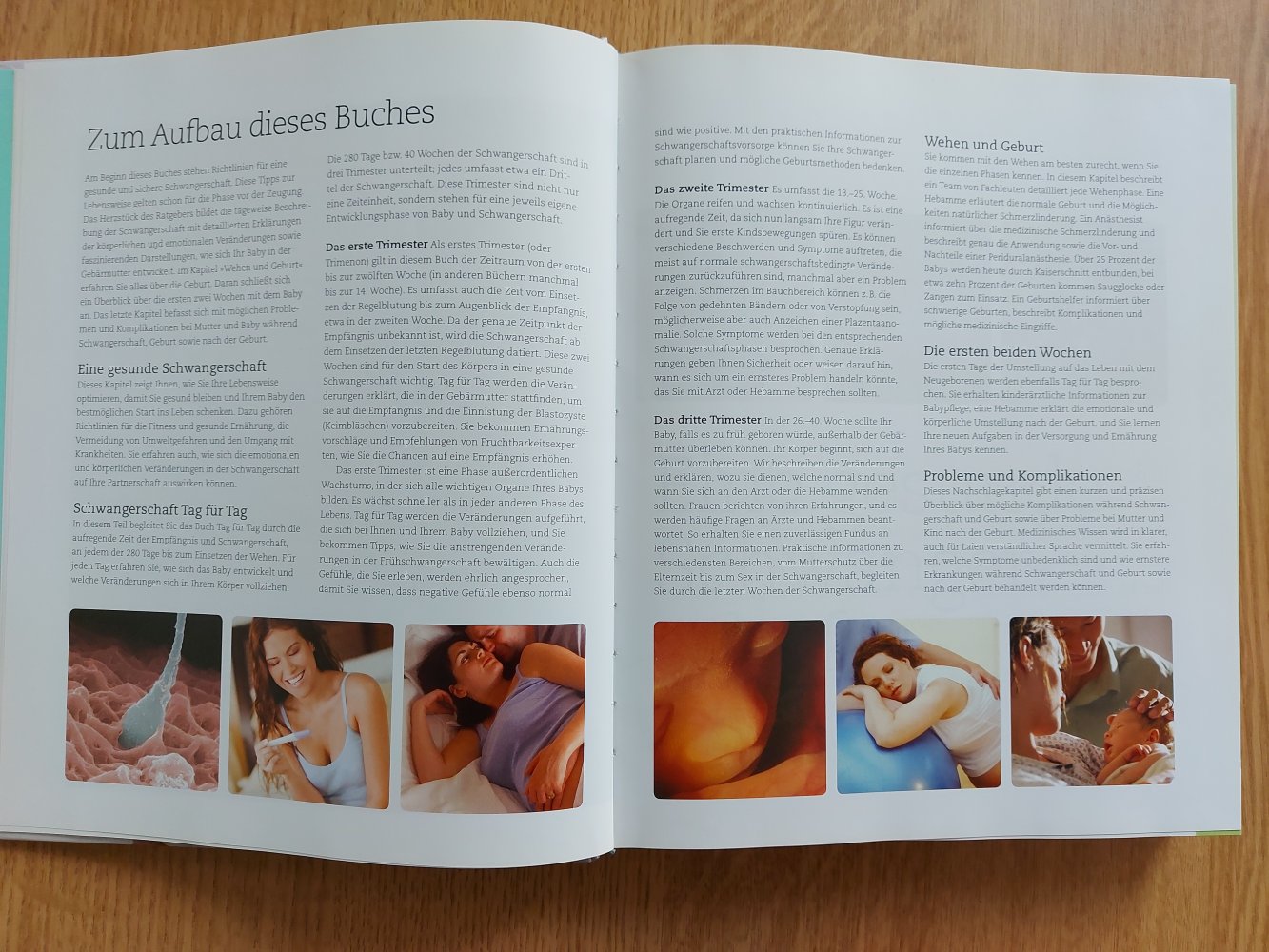 Ratgeber  Alles über meine Schwangerschaft - Tag für Tag von Dr. Maggie Blott