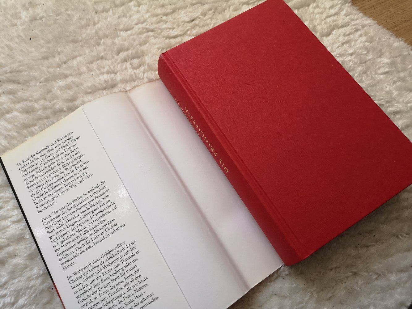 Die Principessa von Peter Prange