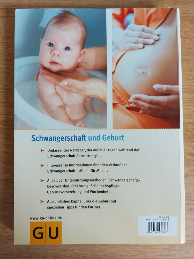 GU-Ratgeber Schwangerschaft und Geburt von Birgit Gebauer-Sesterhenn und Dr. med. Thomas Villinger