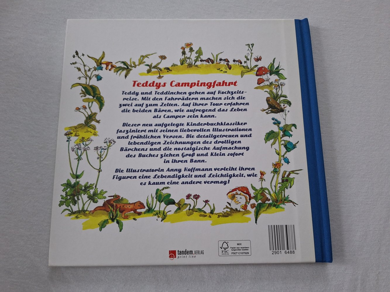 Kinderbuch Teddys Campingfahrt